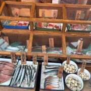 ヒメ日記 2025/08/23 17:25 投稿 乃風-のかぜ- マリン千姫