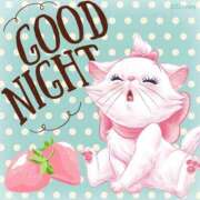 ヒメ日記 2025/08/03 22:28 投稿 はるか エレガンス(広島)