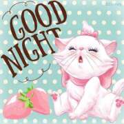 ヒメ日記 2025/11/24 22:28 投稿 はるか エレガンス(広島)