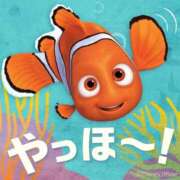ヒメ日記 2026/06/03 18:48 投稿 はるか エレガンス(広島)