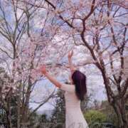 ヒメ日記 2025/04/04 13:58 投稿 みづき エレガンス(広島)