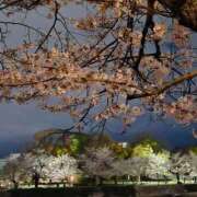 ヒメ日記 2026/04/01 00:50 投稿 志麻(しま) エッチな熟女(広島)