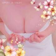 ヒメ日記 2026/04/25 01:50 投稿 志麻(しま) エッチな熟女(広島)