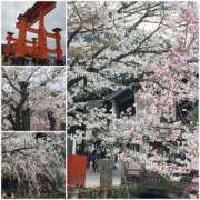 ヒメ日記 2025/04/04 09:43 投稿 瑠奈(るな) エッチな熟女(広島)