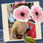 ヒメ日記 2025/04/23 19:48 投稿 瑠奈(るな) エッチな熟女(広島)