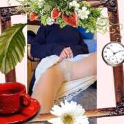 ヒメ日記 2025/05/23 08:11 投稿 瑠奈(るな) エッチな熟女(広島)