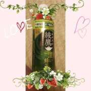 ヒメ日記 2026/02/04 20:20 投稿 瑠奈(るな) エッチな熟女(広島)