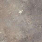 ヒメ日記 2024/12/19 22:06 投稿 あいの【trip】 アロマエステ アイウィッシュ