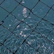 ヒメ日記 2024/12/20 23:10 投稿 あいの【trip】 アロマエステ アイウィッシュ