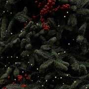 ヒメ日記 2025/01/11 03:52 投稿 あいの【trip】 アロマエステ アイウィッシュ