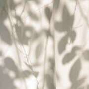 ヒメ日記 2025/04/18 21:48 投稿 あいの【trip】 アロマエステ アイウィッシュ