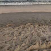 ヒメ日記 2025/08/22 19:28 投稿 あいの【trip】 アロマエステ アイウィッシュ