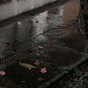 ヒメ日記 2025/09/19 18:00 投稿 あいの【trip】 アロマエステ アイウィッシュ