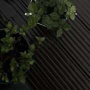 ヒメ日記 2025/10/02 22:02 投稿 あいの【trip】 アロマエステ アイウィッシュ