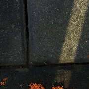 ヒメ日記 2025/10/09 18:04 投稿 あいの【trip】 アロマエステ アイウィッシュ