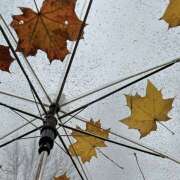 ヒメ日記 2025/11/06 22:04 投稿 あいの【trip】 アロマエステ アイウィッシュ