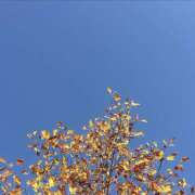 あいの【trip】 あいの:CANDYのおにいさま アロマエステ アイウィッシュ