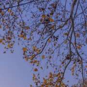 あいの【trip】 あいの:LAPLAYAのおにいさま アロマエステ アイウィッシュ