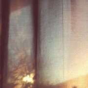 ヒメ日記 2026/04/03 14:36 投稿 あいの【trip】 アロマエステ アイウィッシュ