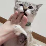 ヒメ日記 2024/12/13 00:55 投稿 みゆき【おもてなし１２０％美女】 Beppin house