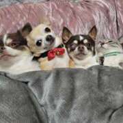 ヒメ日記 2024/12/18 17:55 投稿 みゆき【おもてなし１２０％美女】 Beppin house