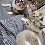 ヒメ日記 2024/12/27 00:18 投稿 みゆき【おもてなし１２０％美女】 Beppin house