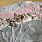 ヒメ日記 2024/12/28 01:25 投稿 みゆき【おもてなし１２０％美女】 Beppin house