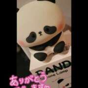 ヒメ日記 2024/12/29 01:01 投稿 みゆき【おもてなし１２０％美女】 Beppin house