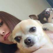 ヒメ日記 2025/02/12 15:31 投稿 みゆき【おもてなし１２０％美女】 Beppin house