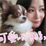 ヒメ日記 2025/02/15 12:51 投稿 みゆき【おもてなし１２０％美女】 Beppin house