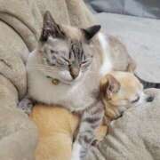 ヒメ日記 2025/02/16 19:15 投稿 みゆき【おもてなし１２０％美女】 Beppin house