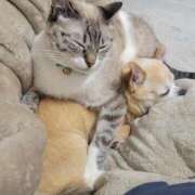 ヒメ日記 2025/04/02 13:03 投稿 みゆき【おもてなし１２０％美女】 Beppin house