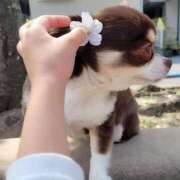 ヒメ日記 2025/05/04 17:30 投稿 みゆき【おもてなし１２０％美女】 Beppin house