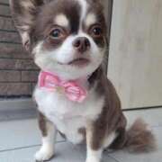 ヒメ日記 2025/05/13 14:50 投稿 みゆき【おもてなし１２０％美女】 Beppin house