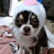 ヒメ日記 2025/06/08 14:55 投稿 みゆき【おもてなし１２０％美女】 Beppin house