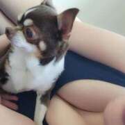 ヒメ日記 2025/06/13 14:40 投稿 みゆき【おもてなし１２０％美女】 Beppin house