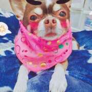 ヒメ日記 2025/07/16 12:54 投稿 みゆき【おもてなし１２０％美女】 Beppin house