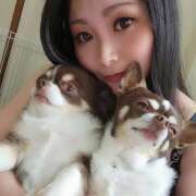 ヒメ日記 2025/09/10 14:20 投稿 みゆき【おもてなし１２０％美女】 Beppin house