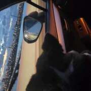 ヒメ日記 2025/10/08 12:50 投稿 みゆき【おもてなし１２０％美女】 Beppin house