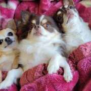 ヒメ日記 2025/12/07 12:50 投稿 みゆき【おもてなし１２０％美女】 Beppin house