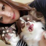 ヒメ日記 2025/12/09 21:00 投稿 みゆき【おもてなし１２０％美女】 Beppin house