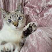 みゆき【おもてなし１２０％美女】 ☆今日のお題②☆ Beppin house