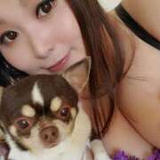 ヒメ日記 2026/02/05 18:55 投稿 みゆき【おもてなし１２０％美女】 Beppin house