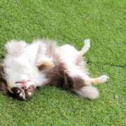 ヒメ日記 2026/02/07 17:23 投稿 みゆき【おもてなし１２０％美女】 Beppin house