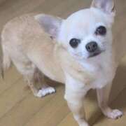 ヒメ日記 2026/03/24 20:16 投稿 みゆき【おもてなし１２０％美女】 Beppin house