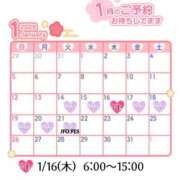 ヒメ日記 2024/12/27 15:08 投稿 ともみ【礼儀礼節完璧】 Beppin house