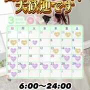 ヒメ日記 2025/03/16 08:20 投稿 ともみ【礼儀礼節完璧】 Beppin house