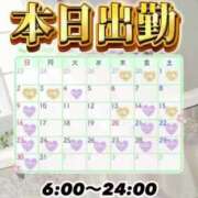 ヒメ日記 2025/03/28 08:00 投稿 ともみ【礼儀礼節完璧】 Beppin house