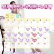 ヒメ日記 2025/04/24 08:10 投稿 ともみ【礼儀礼節完璧】 Beppin house