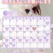 ヒメ日記 2025/05/31 08:20 投稿 ともみ【礼儀礼節完璧】 Beppin house